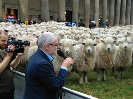 sheepcorbyn.jpg